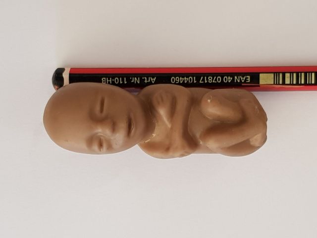 12 week baby model (gone during BLF vandalism)